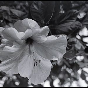 Meet your Posher, Camila